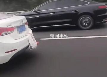 網友開曬國慶返程后備箱 瓜果蔬菜各種土特產就連雞鴨都得掛車上