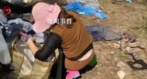 迷笛盜竊事件或受短視頻誤導(dǎo) 有人直播曾釋放現(xiàn)場(chǎng)帳篷沒(méi)人要的信息