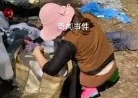 迷笛盜竊事件或受短視頻誤導 有人直播曾釋放現場帳篷沒人要的信息