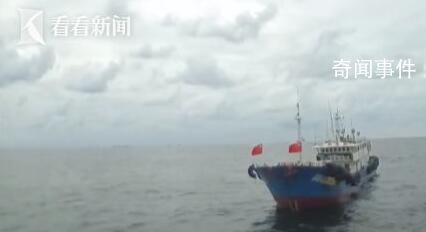 男子船上宰割鯨鯊?滬浙聯動出擊