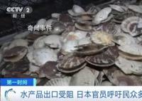 日官員呼吁民眾每人多吃5只扇貝 第一輪排海已經(jīng)給日本水產(chǎn)品出口帶來巨大負(fù)面影響