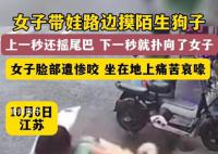 女子摸陌生狗面部慘遭撕咬 背后真相太恐怖了