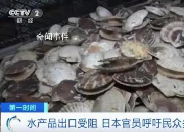 日官員呼吁民眾每人多吃5只扇貝 第一輪排海已經給日本水產品出口帶來巨大負面影響