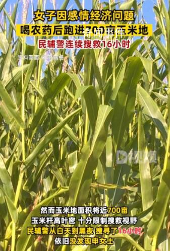 女子因感情問題喝農藥后跑進玉米地 民警搜救16小時
