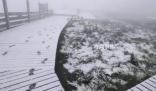 北京延慶下雪了 注意添衣謹防感冒