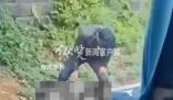 黃石通報男子當街錘人致死 案件正在全力偵辦中