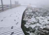 北京延慶下雪了 注意添衣謹(jǐn)防感冒