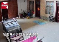 女兒一遍遍喊媽媽女子看后連夜趕回 這個(gè)小小的呼喊觸動(dòng)了無(wú)數(shù)人的心