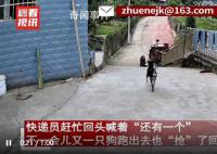 主人不在家快遞顯示狗已簽收 網友爆笑：比人還精
