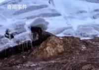 西藏希夏邦馬峰發生雪崩 登山者有兩人遇難兩人失蹤1人重傷