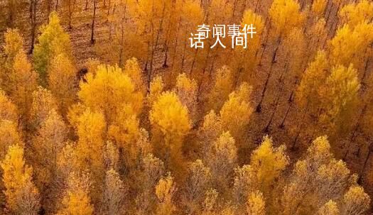 用中國傳統(tǒng)色打開秋天 一起感受多彩秋日下的大美中國