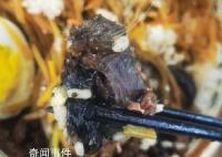 市監局介入調查高校食堂鼠頭事件 具體以官方通告為準