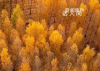 用中國傳統(tǒng)色打開秋天 一起感受多彩秋日下的大美中國