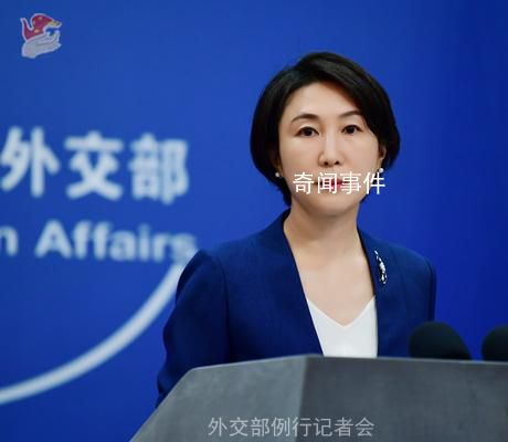被劫混血女性是中國公民嗎?中方回應