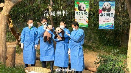 福寶妹妹們叫睿寶輝寶 首次公眾見面會舉行