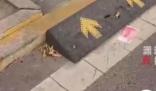 街道現滿地百元大鈔路人笑稱不敢撿 目前已經找到失主