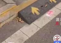 街道現(xiàn)滿地百元大鈔路人笑稱不敢撿 目前已經(jīng)找到失主