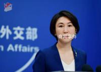 被劫混血女性是中國公民嗎?中方回應(yīng)