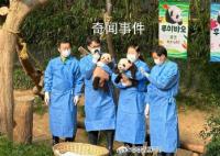 福寶妹妹們叫睿寶輝寶 首次公眾見面會舉行