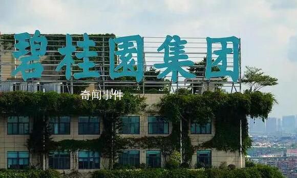 碧桂園創(chuàng)始人賣私人飛機(jī)償債 目前公司9只境內(nèi)債已成功展期