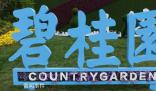 碧桂園創(chuàng)始人赴廣東工地調(diào)研 楊國強(qiáng)露面