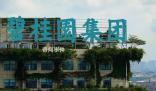 碧桂園創始人賣私人飛機償債 目前公司9只境內債已成功展期