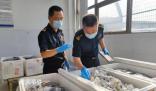 貨車運5380只吸血鬼蟹入境被查 目前已作進一步處理