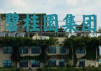 碧桂園創始人賣私人飛機償債 目前公司9只境內債已成功展期