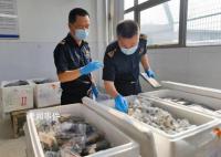 貨車運5380只吸血鬼蟹入境被查 目前已作進一步處理