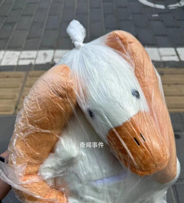 網購電動車到貨是玩偶 京東介入