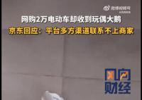 男子網購2萬元電動車收到玩偶大鵝 引起了廣泛關注