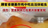 顧客肯德基炸雞中吃出蛆蟲 十分顯眼
