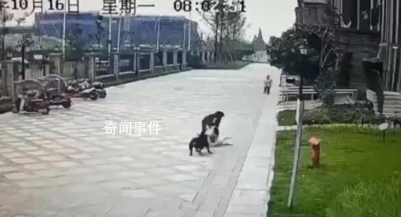 被惡犬咬傷的成都女童仍未蘇醒 已有專家進行會診
