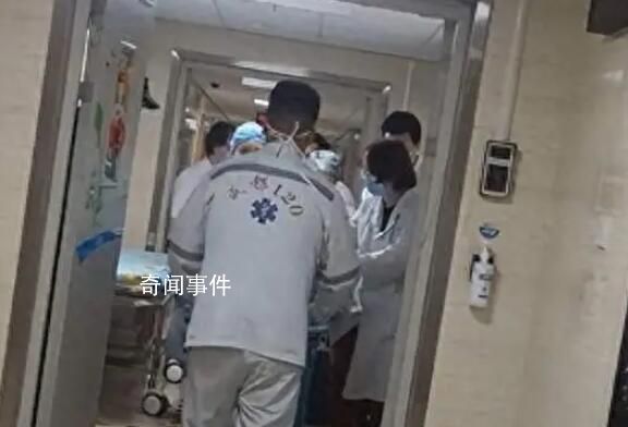 被狗咬傷女童母親:咬人黑狗已找到