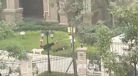 惡犬撕咬女童 狗主人會被判刑嗎?