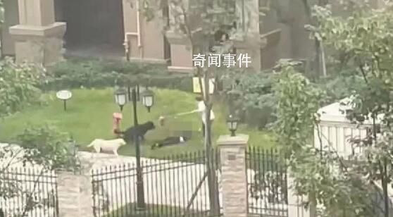 女童母親:要追究物業(yè)和狗主人責(zé)任