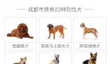 咬傷女童烈犬不在當(dāng)?shù)亟B(yǎng)犬名單中
