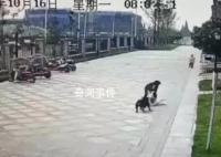 被惡犬咬傷的成都女童仍未蘇醒 已有專家進行會診
