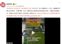街道辦已動員數百人尋找肇事烈犬