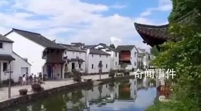 文明厚植沃土 新風助力振興