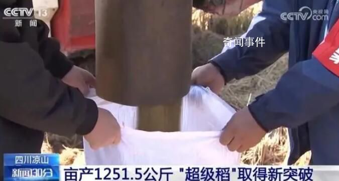 五谷豐登糧滿倉 全國多地秋種忙