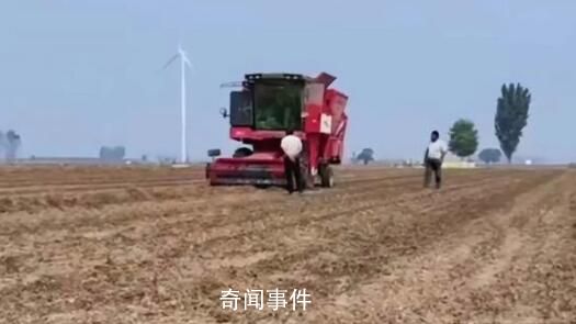 央媒評禁止機械設備收花生:瞎指揮