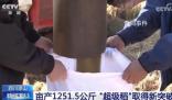 五谷豐登糧滿倉 全國多地秋種忙