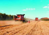 全力以赴保障糧食豐收 進度七成：搶抓農(nóng)時保豐收