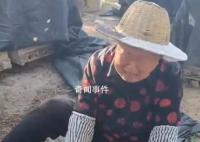 60箱蜜蜂被指遭人投毒一夜死光 背后真相令人憤怒
