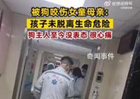 被狗咬女童腎臟一部分壞了 無法恢復