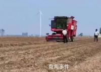 央媒評禁止機械設備收花生:瞎指揮