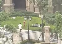 寵物協會人士:建議養犬前先考試