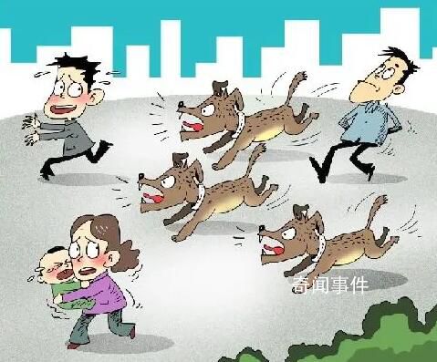 這些養(yǎng)犬法律底線要清楚 希望大家依法養(yǎng)犬