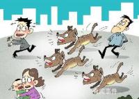 這些養犬法律底線要清楚 希望大家依法養犬